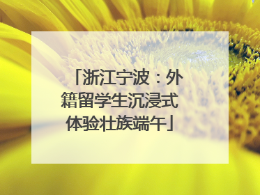 浙江宁波：外籍留学生沉浸式体验壮族端午