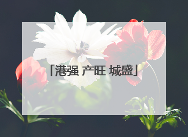 港强 产旺 城盛
