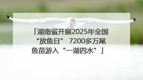 湖南省开展2025年全国“放鱼日” 7200多万尾鱼苗游入“一湖四水”