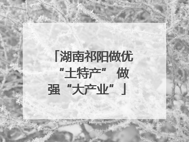 湖南祁阳做优“土特产” 做强“大产业”