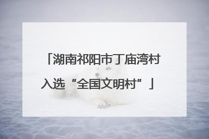 湖南祁阳市丁庙湾村入选“全国文明村”