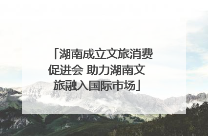 湖南成立文旅消费促进会 助力湖南文旅融入国际市场