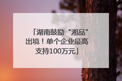 湖南鼓励“湘品”出境！单个企业最高支持100万元