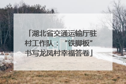 湖北省交通运输厅驻村工作队：“铁脚板”书写龙凤村幸福答卷