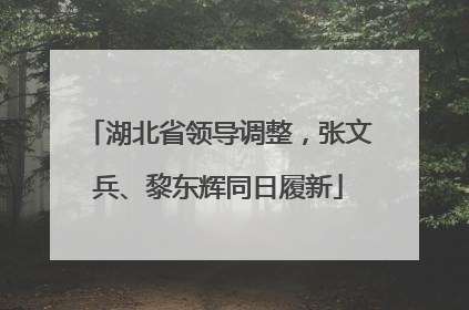 湖北省领导调整，张文兵、黎东辉同日履新