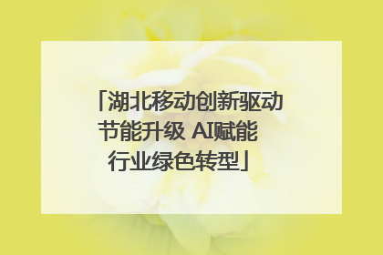 湖北移动创新驱动节能升级 AI赋能行业绿色转型