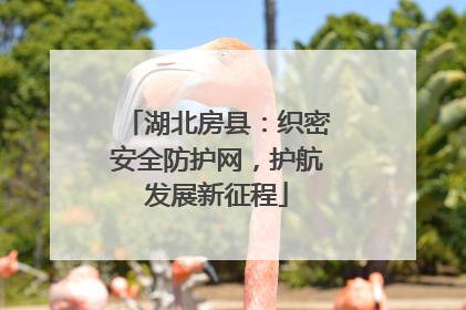 湖北房县：织密安全防护网，护航发展新征程