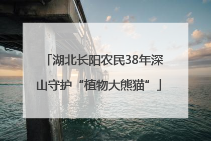 湖北长阳农民38年深山守护“植物大熊猫”