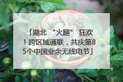 湖北 “火腿” 狂欢！跨区域通联，共庆第85个中国业余无线电节