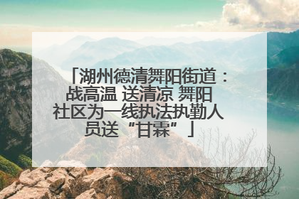 湖州德清舞阳街道：战高温 送清凉 舞阳社区为一线执法执勤人员送“甘霖”