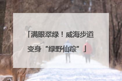 满眼翠绿！威海步道变身“绿野仙踪”