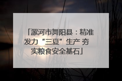 漯河市舞阳县：精准发力“三夏”生产 夯实粮食安全基石