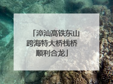 漳汕高铁东山跨海特大桥栈桥顺利合龙