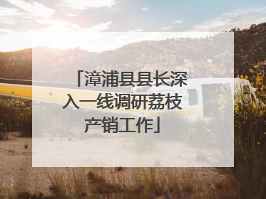 漳浦县县长深入一线调研荔枝产销工作