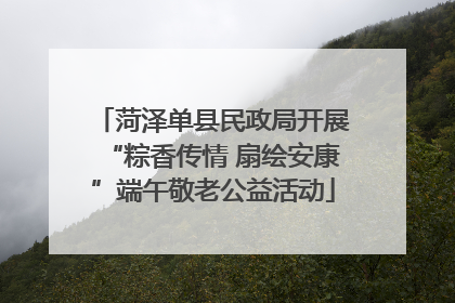 菏泽单县民政局开展“粽香传情 扇绘安康”端午敬老公益活动