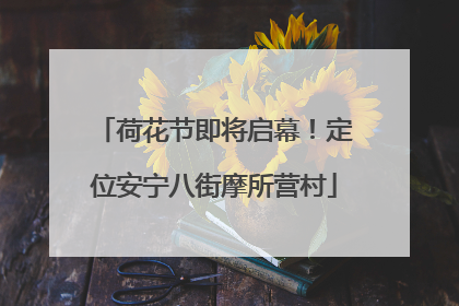 荷花节即将启幕！定位安宁八街摩所营村
