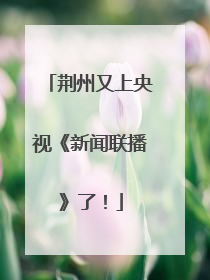 荆州又上央视《新闻联播》了！