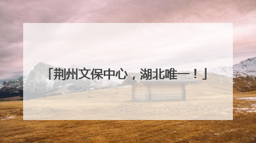 荆州文保中心，湖北唯一！