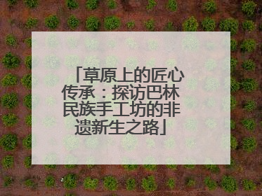 草原上的匠心传承：探访巴林民族手工坊的非遗新生之路
