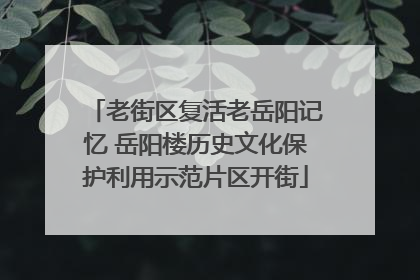 老街区复活老岳阳记忆 岳阳楼历史文化保护利用示范片区开街