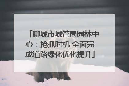 聊城市城管局园林中心：抢抓时机 全面完成道路绿化优化提升