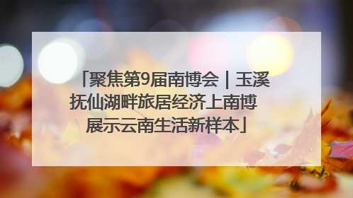 聚焦第9届南博会｜玉溪抚仙湖畔旅居经济上南博 展示云南生活新样本