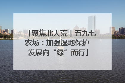 聚焦北大荒｜五九七农场：加强湿地保护 发展向“绿”而行