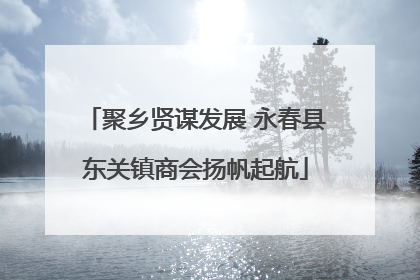 聚乡贤谋发展 永春县东关镇商会扬帆起航