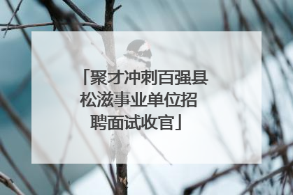 聚才冲刺百强县 松滋事业单位招聘面试收官