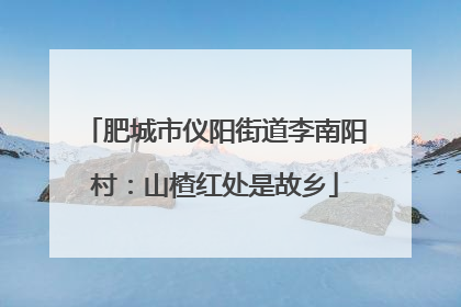 肥城市仪阳街道李南阳村：山楂红处是故乡