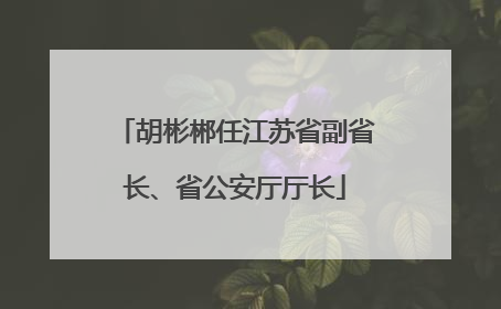 胡彬郴任江苏省副省长、省公安厅厅长