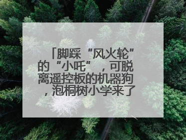 脚踩“风火轮”的“小吒”，可脱离遥控板的机器狗，泡桐树小学来了新朋友！