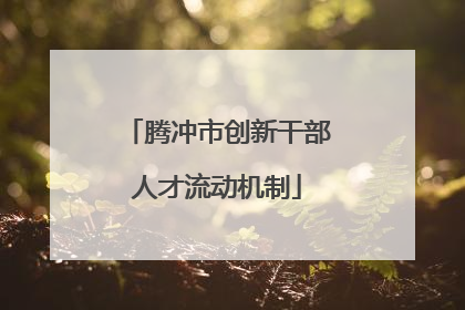 腾冲市创新干部人才流动机制