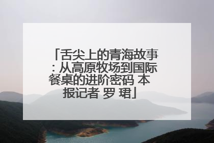 舌尖上的青海故事：从高原牧场到国际餐桌的进阶密码 本报记者 罗 珺