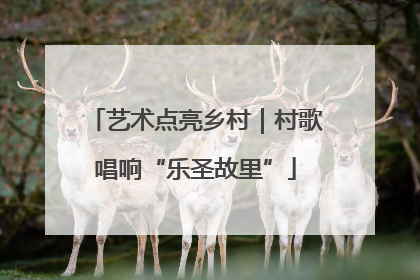 艺术点亮乡村｜村歌唱响“乐圣故里”