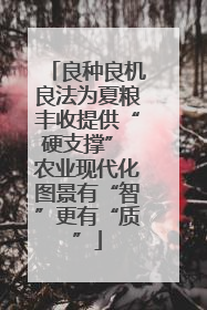 良种良机良法为夏粮丰收提供“硬支撑” 农业现代化图景有“智”更有“质”