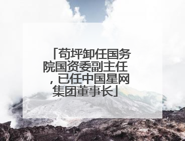 苟坪卸任国务院国资委副主任，已任中国星网集团董事长