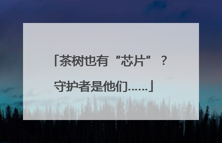 茶树也有“芯片”？守护者是他们……