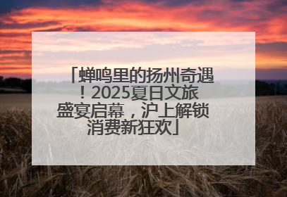 蝉鸣里的扬州奇遇！2025夏日文旅盛宴启幕，沪上解锁消费新狂欢
