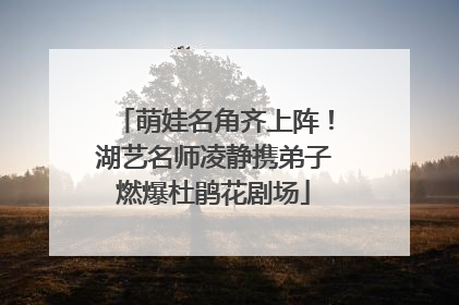 萌娃名角齐上阵！湖艺名师凌静携弟子燃爆杜鹃花剧场