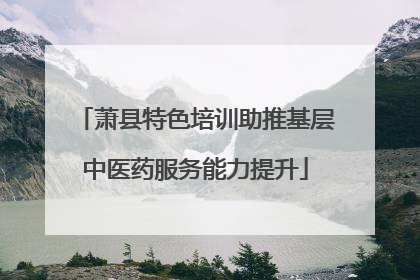萧县特色培训助推基层中医药服务能力提升