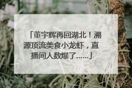 董宇辉再回湖北！溯源顶流美食小龙虾，直播间人数爆了……