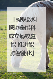 蚂蚁数科携协鑫能科成立蚂蚁鑫能 推进能源智能化