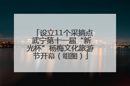 设立11个采摘点 武宁第十一届“新光杯”杨梅文化旅游节开幕（组图）