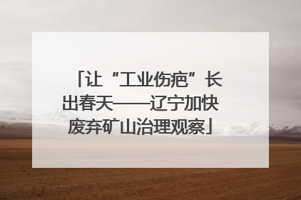 让“工业伤疤”长出春天——辽宁加快废弃矿山治理观察