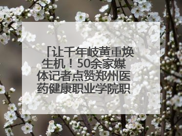 让千年岐黄重焕生机！50余家媒体记者点赞郑州医药健康职业学院职教高招