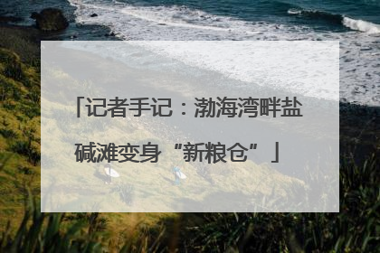记者手记：渤海湾畔盐碱滩变身“新粮仓”