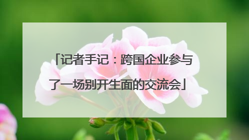 记者手记：跨国企业参与了一场别开生面的交流会
