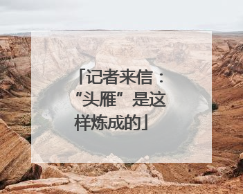 记者来信：“头雁”是这样炼成的