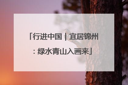 行进中国｜宜居锦州：绿水青山入画来